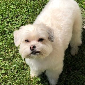 Meet your Posher, Trey